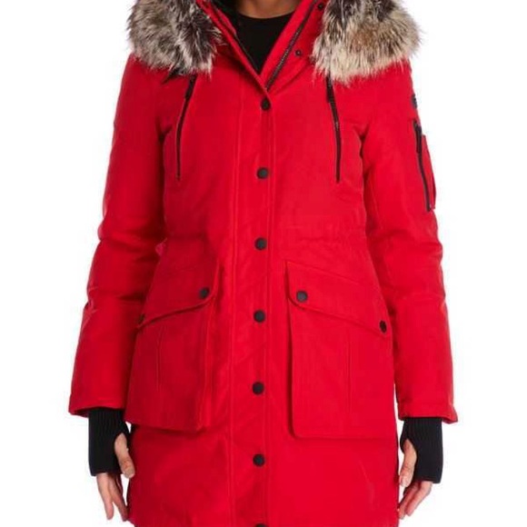 bcbg winter jackets